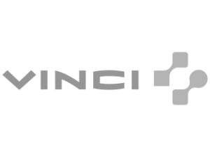 vinci log